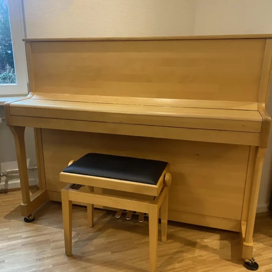 Wilhelm Steinberg S-177 Piano